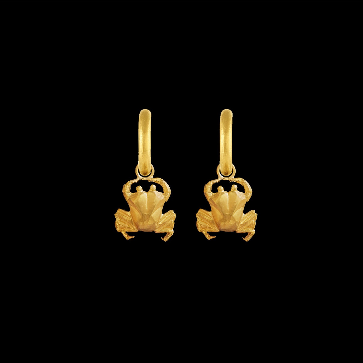 Cancer Hoop Earrings