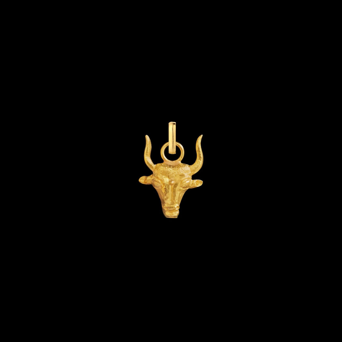 Taurus Petite Pendant