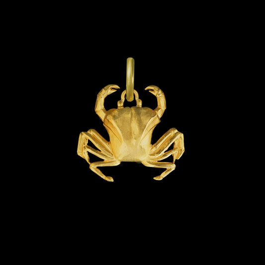 Cancer Pendant