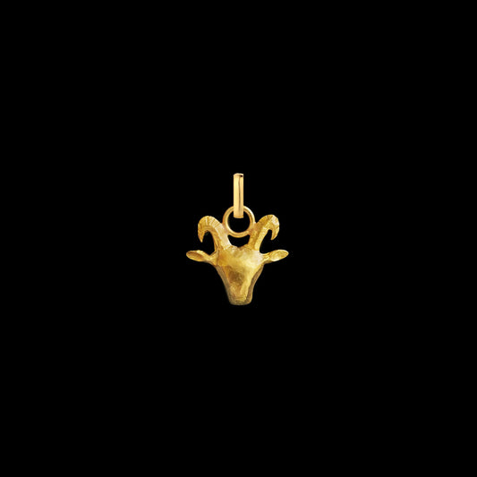 Capricorn Petite Pendant