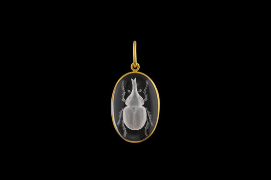 Beetle