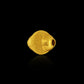 Bellaquayle Orb